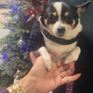 $10 off coupon  use code Bunnydrmz66